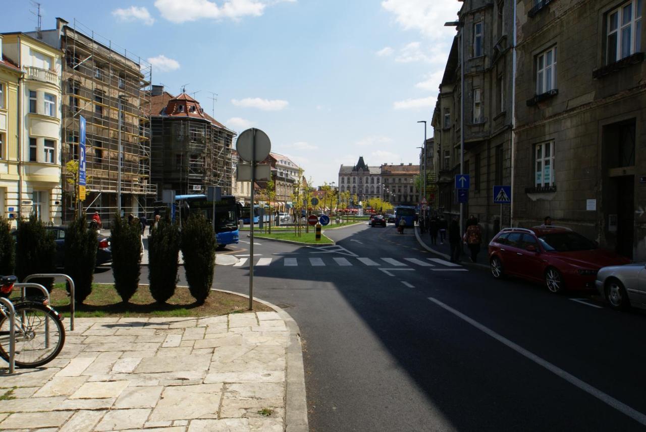 Fingerprint Tree - Cozy Zagreb